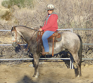 Cindy And Johnny